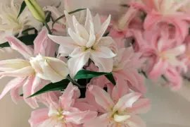 【簡易包装】■ダイアンサ5本束■　❤大人気品種♥